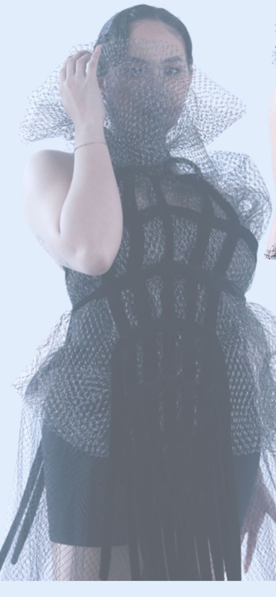 Tulle collar and cage bodice, full length