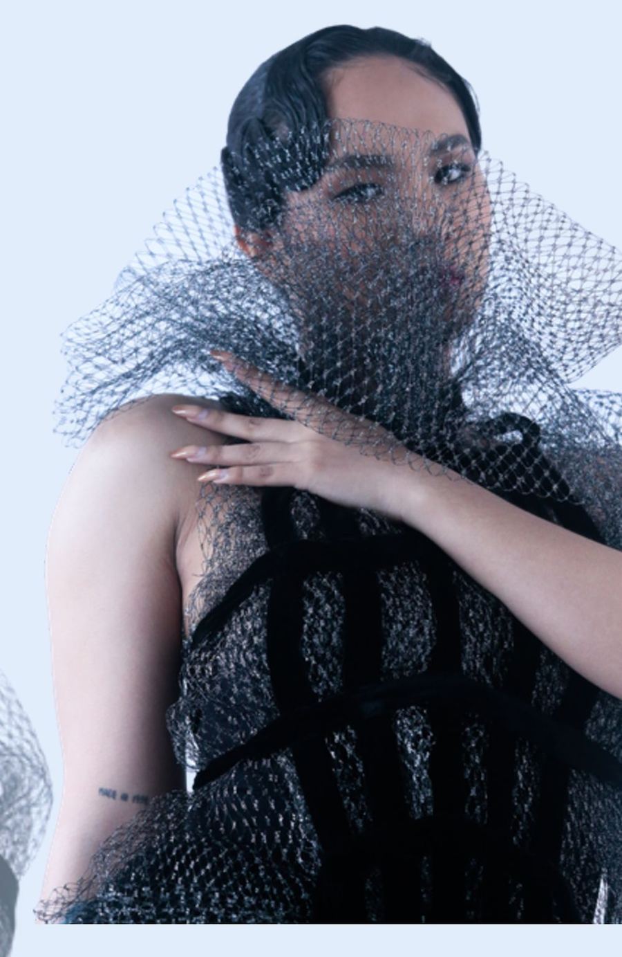 Tulle and cage bodice detail